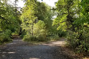 Crystal Lake Sports Fields image