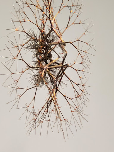 Modern Art Museum «Solomon R. Guggenheim Museum», reviews and photos, 1071 5th Ave, New York, NY 10128, USA