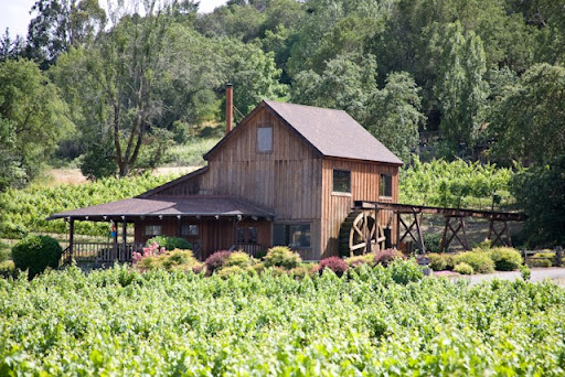 Vineyard «Mill Creek Vineyards & Winery», reviews and photos, 1401 Westside Rd, Healdsburg, CA 95448, USA