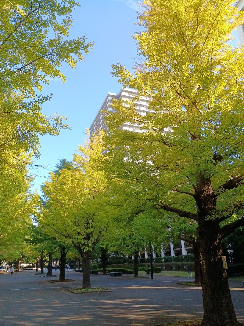 夏の雲公園 みらいの広場