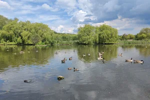 Shibdon Pond Local Nature Reserve image