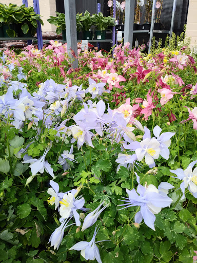 Home Improvement Store «The Home Depot», reviews and photos, 100 Arthur F Brady Dr, Portsmouth, NH 03801, USA