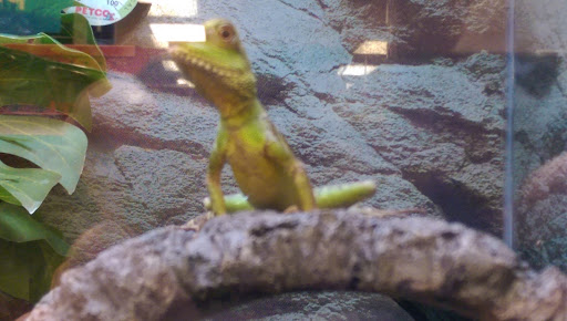 Pet Supply Store «Petco Animal Supplies», reviews and photos, 955 Ferry Blvd, Stratford, CT 06614, USA