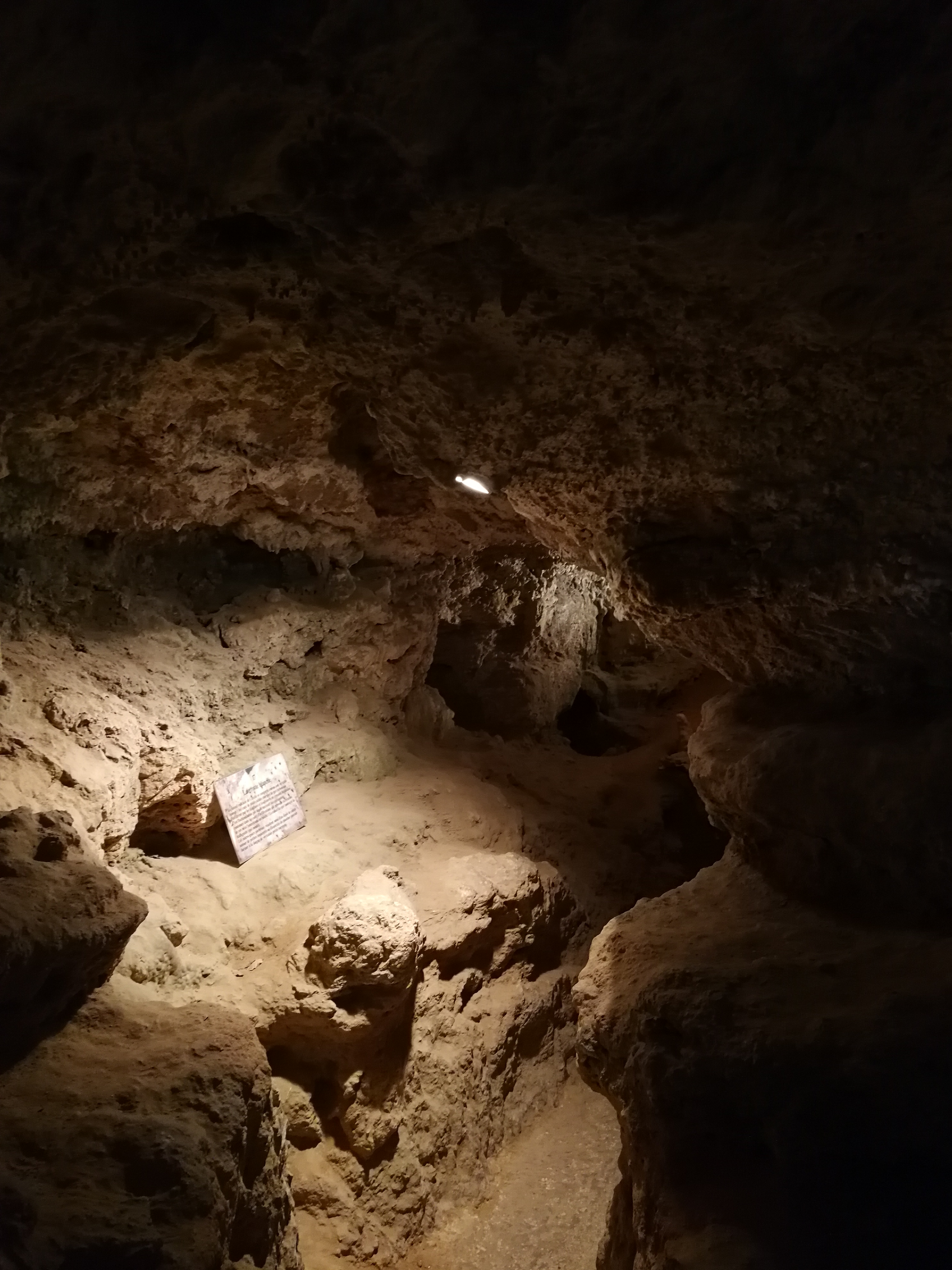 Photo n° 27 de l'avis de Sostaire.e fait le 23/04/2018 à 19:06