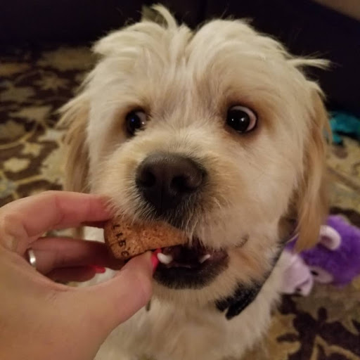 Pet Supply Store «PetSmart», reviews and photos, 2 Brick Plaza, Brick, NJ 08723, USA