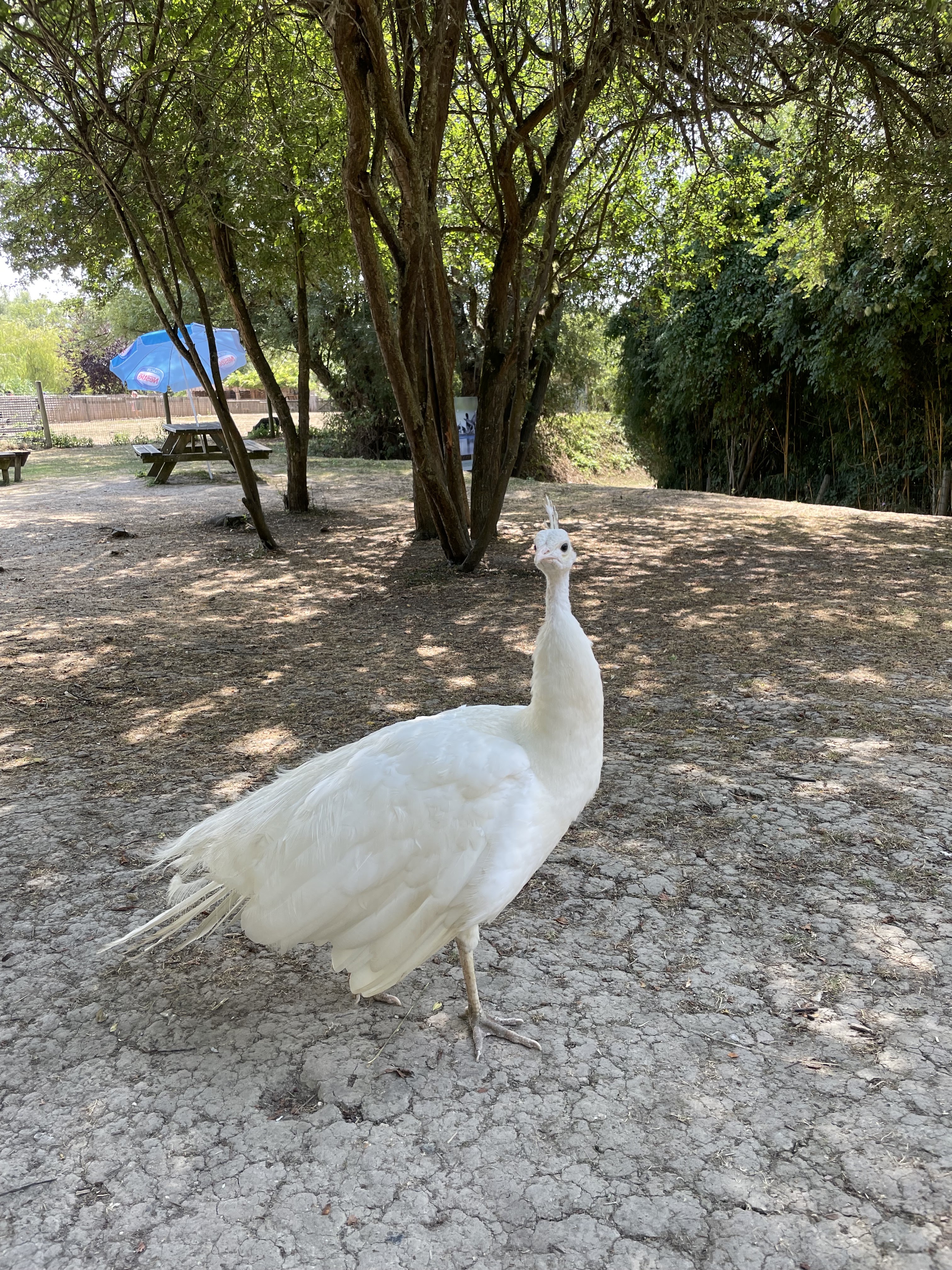 Photo n° 1 de l'avis de Mélanie.� fait le 04/08/2022 à 19:03