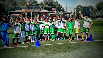 Ataşehir Çamolukspor Futbol Akademisi