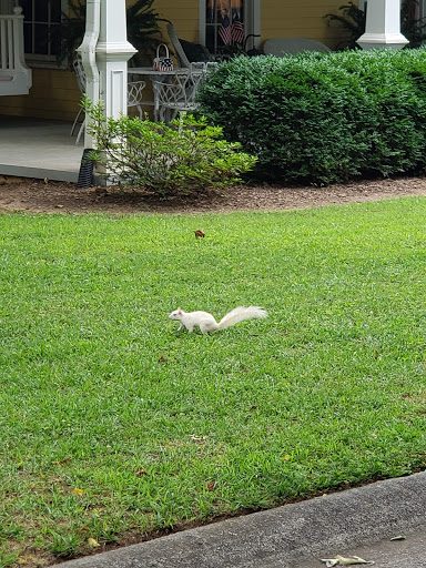 Park «Thrasher Park», reviews and photos, 93 Park Dr, Norcross, GA 30071, USA