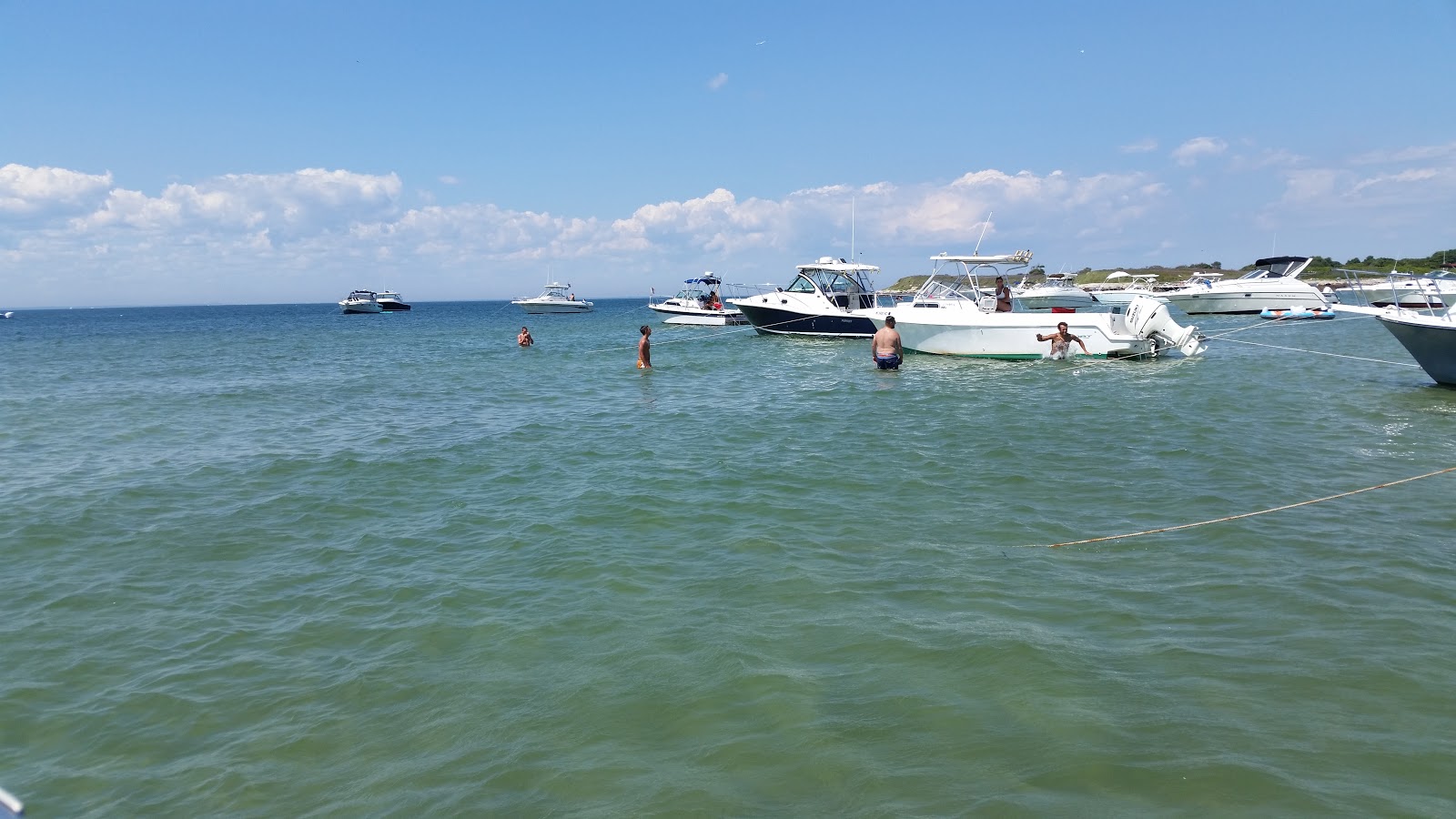 Fotografie cu West beach zonă sălbatică