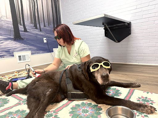 ZenPets Integrative Veterinary Care image