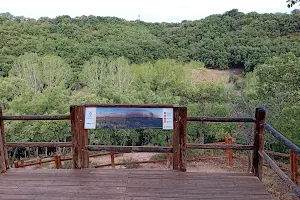 Bosque de Valdenazar image