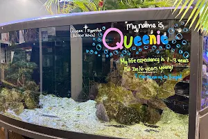 Aquarium Adventure image