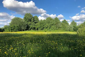 Ryebank Fields image