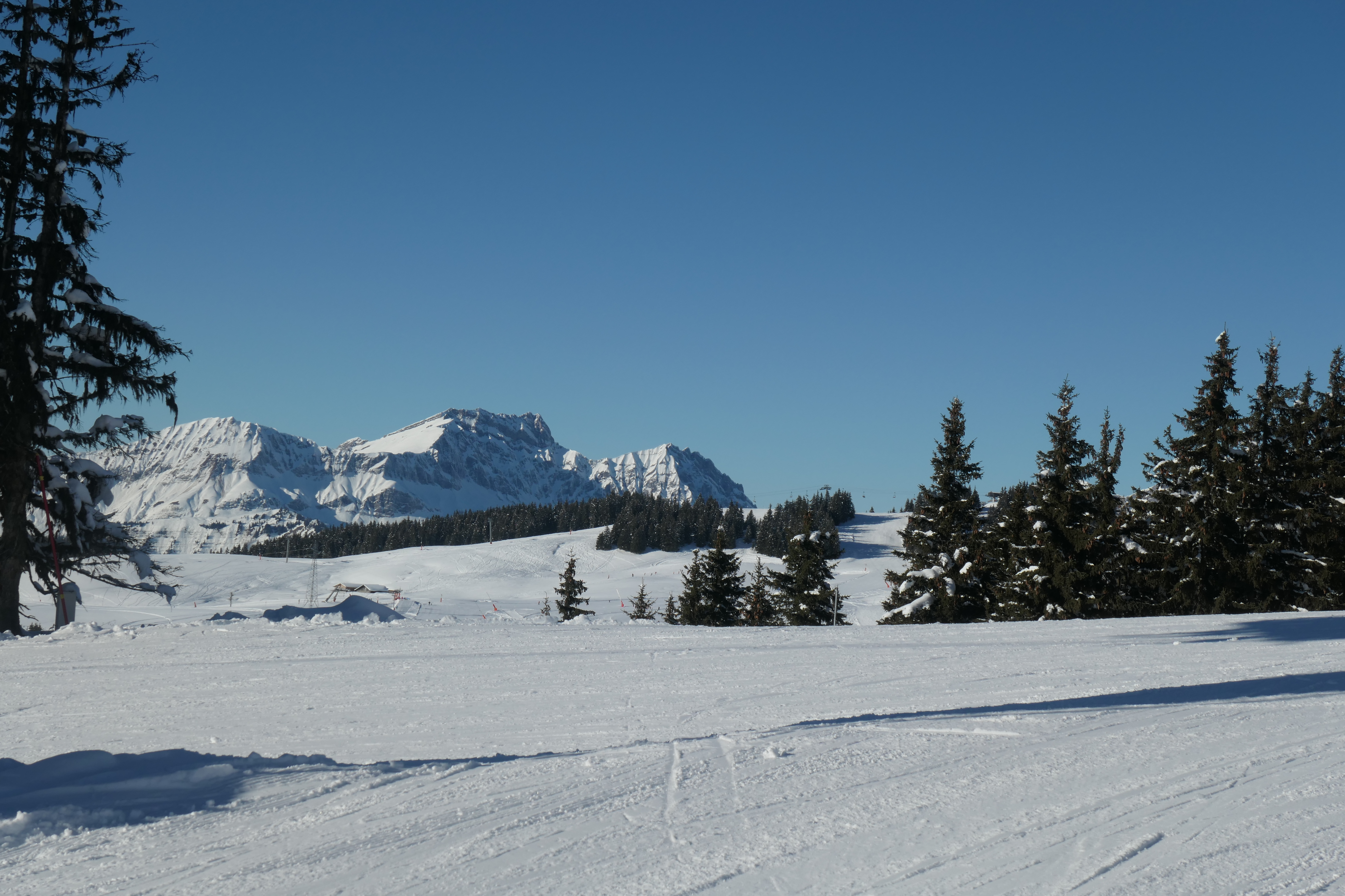 Photo n° 4 de l'avis de NA.E fait le 12/01/2024 à 23:45