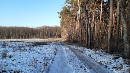Debreceni Nagyerdő természetvédelmi terület