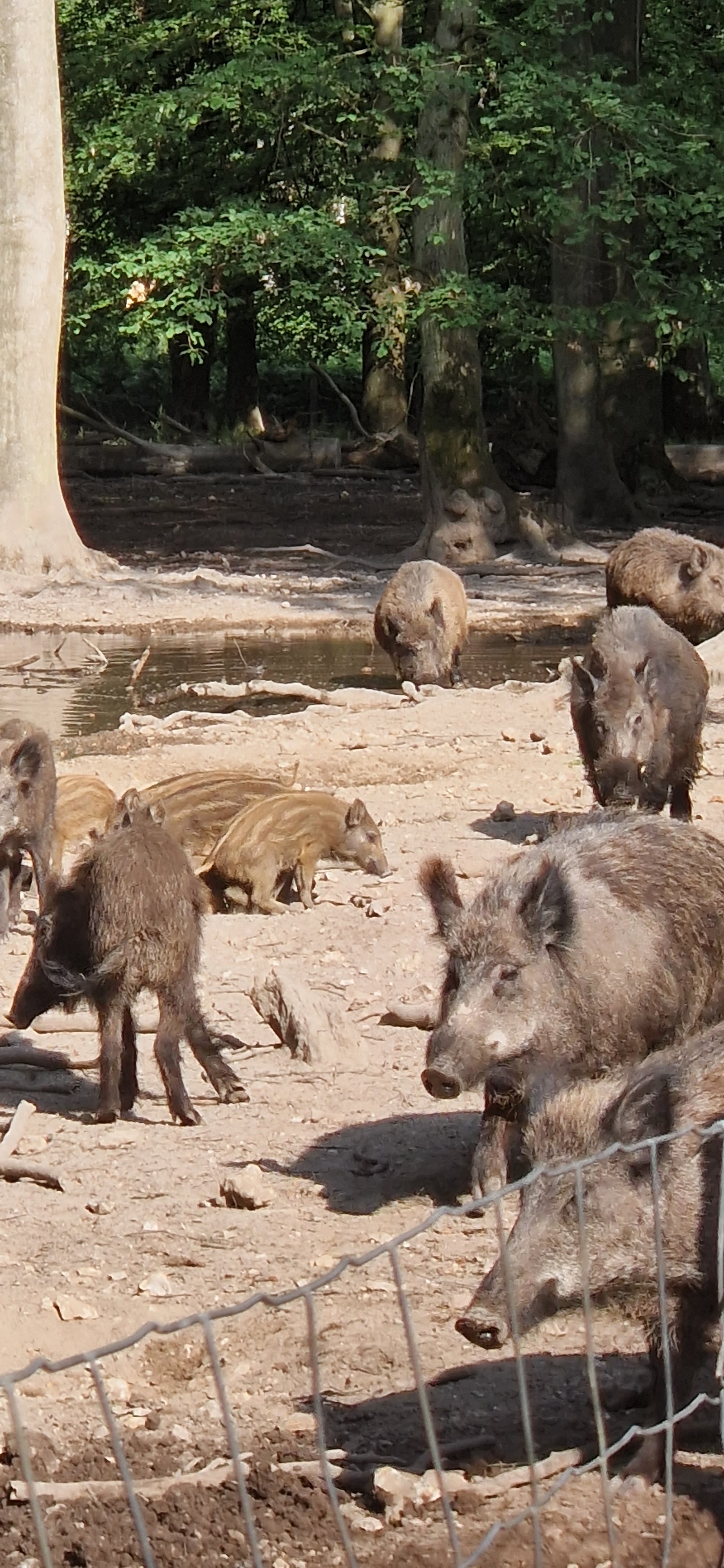 Photo n° 4 de l'avis de Angélique.e fait le 07/07/2023 à 15:46