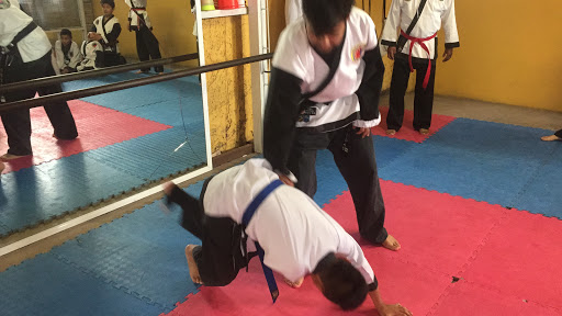 TAEKWONDO Y HAPKIDO GUERREROS DEL SOL