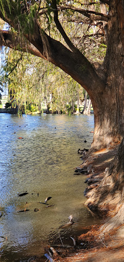 Golf Course «Fairmount Golf Course», reviews and photos, 2681 Dexter Dr, Riverside, CA 92501, USA