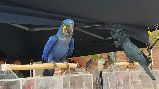 Park «Thrasher Park», reviews and photos, 93 Park Dr, Norcross, GA 30071, USA