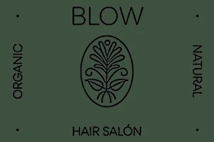 Blow hair salón Barcelona image