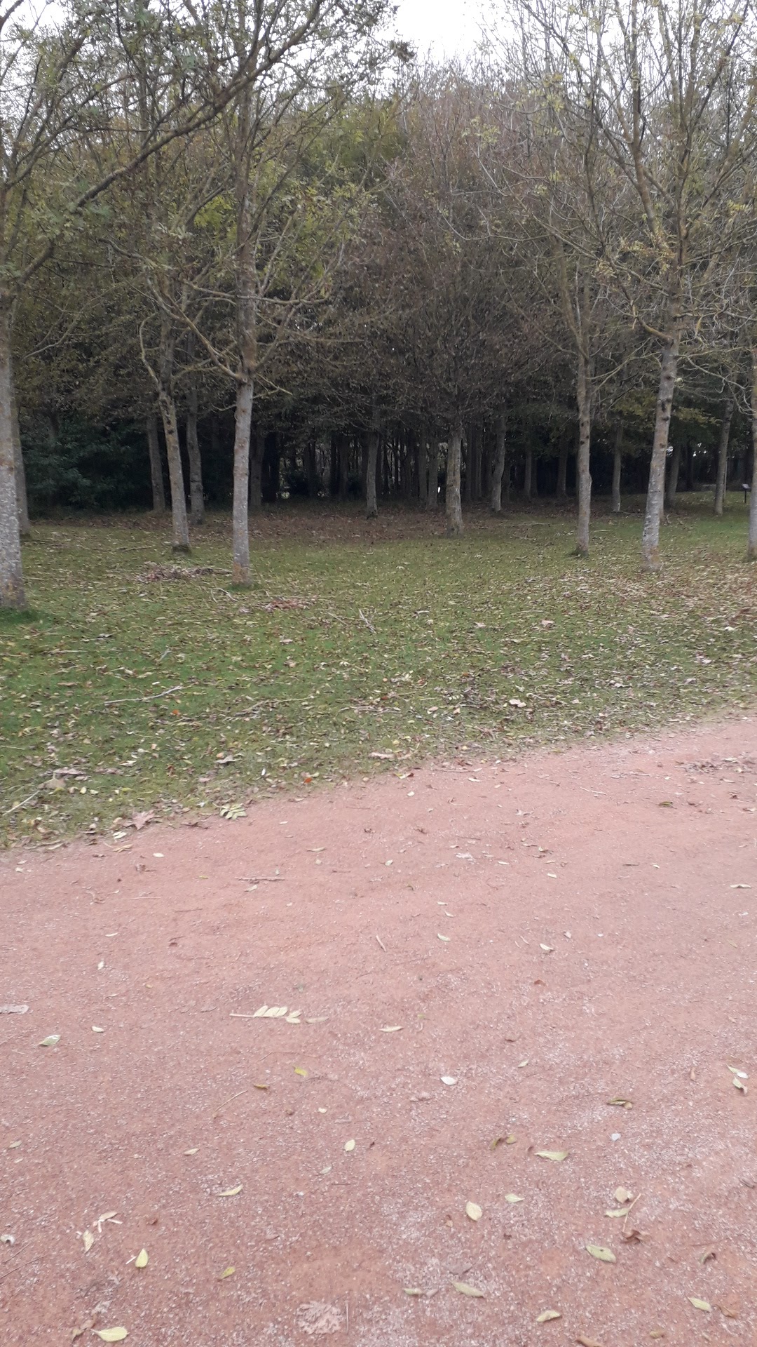 Photo n° 2 de l'avis de nanau. fait le 29/10/2021 à 10:49