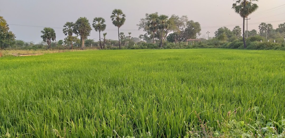 Tharangam