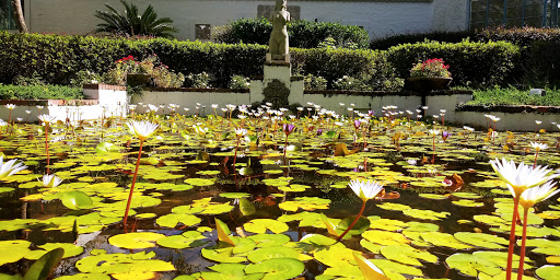 Non-Profit Organization «Art & History Museums - Maitland», reviews and photos, 231 W Packwood Ave, Maitland, FL 32751, USA