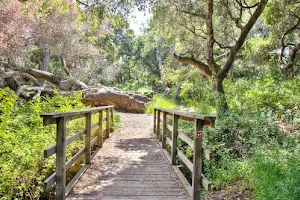 Los Osos Oaks State Reserve image
