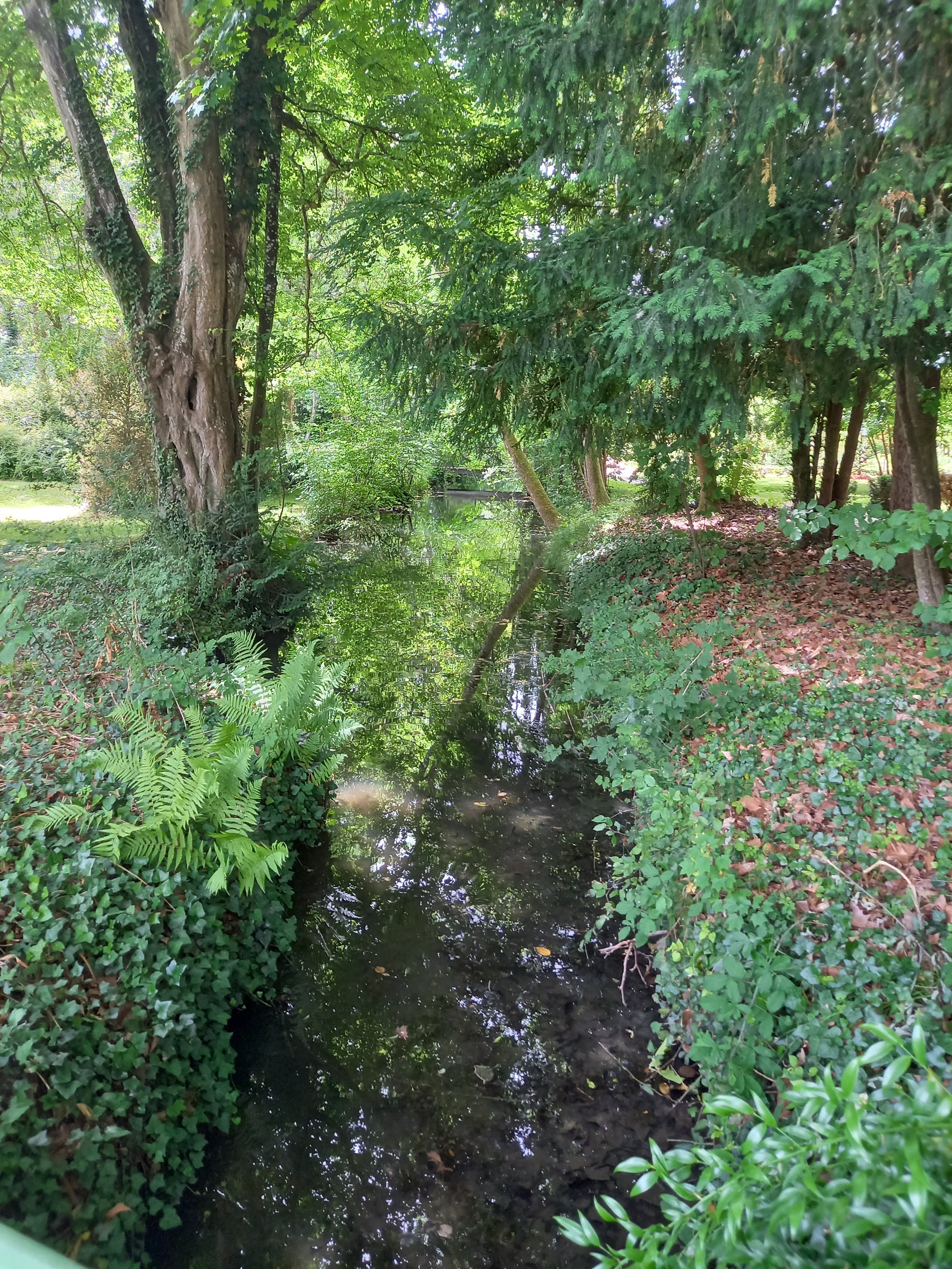 Photo n° 26 de l'avis de Domie.a fait le 21/06/2022 à 14:32