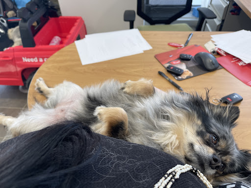 Car Dealer «Vanderstyne Toyota», reviews and photos, 4374 W Ridge Rd, Rochester, NY 14626, USA