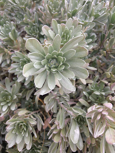 Park «Gateway Park», reviews and photos, 10100 N El Mirage Rd, El Mirage, AZ 85335, USA