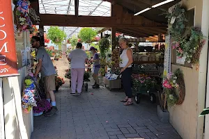 Abma's Farm Market, Greenhouse, and Barnyard Petting Zoo image
