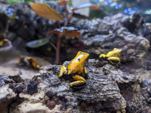 Pet Store «Birds & Beasts Pet Shop», reviews and photos, 35 Berkshire Dr # 18, Crystal Lake, IL 60014, USA