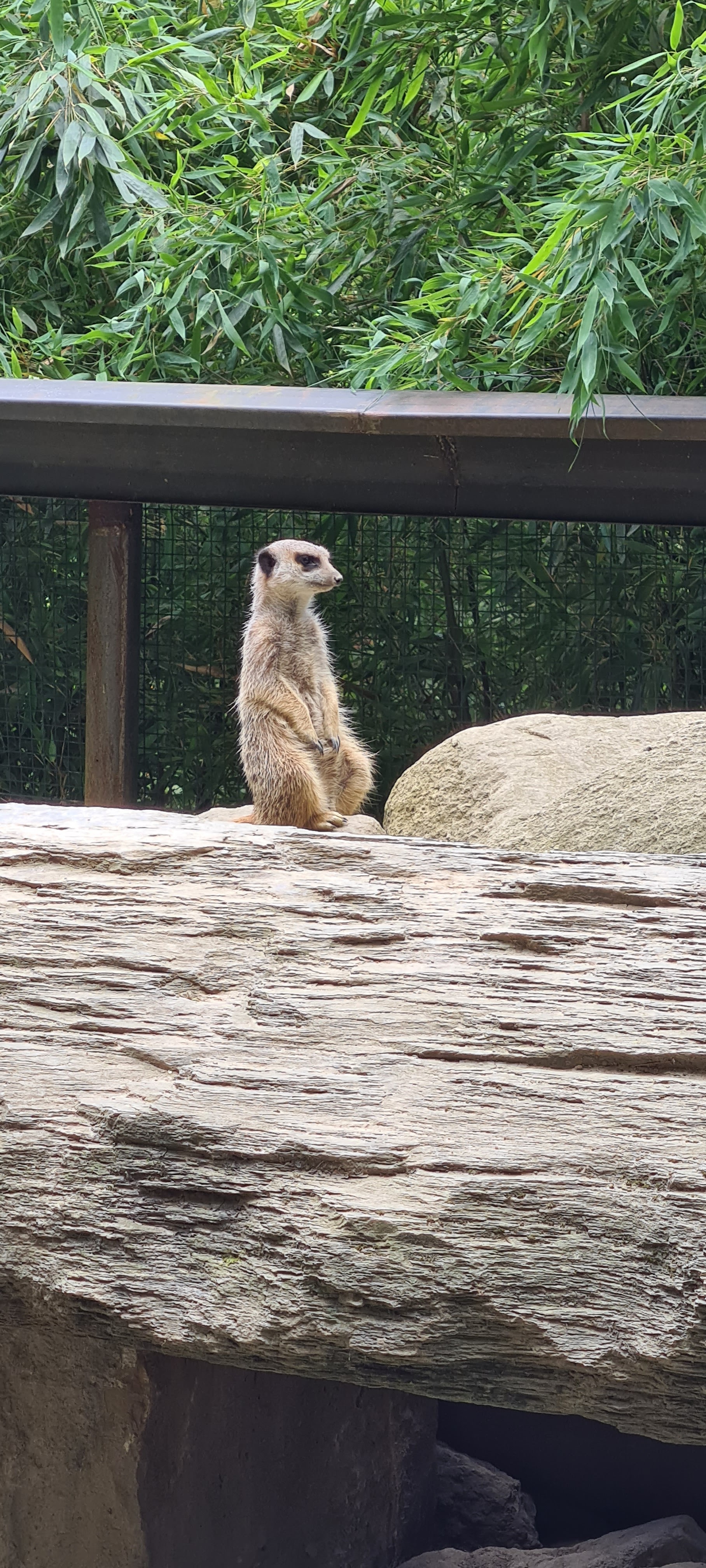 Photo n° 3 de l'avis de Audrey.. fait le 10/07/2021 à 21:37