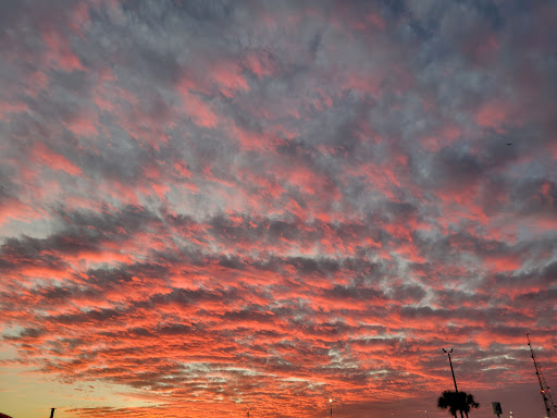 Auto Auction «Manheim Central Florida», reviews and photos, 9800 Bachman Rd, Orlando, FL 32824, USA