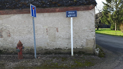 Forêt d'Orléans à Bouzy-la-Forêt