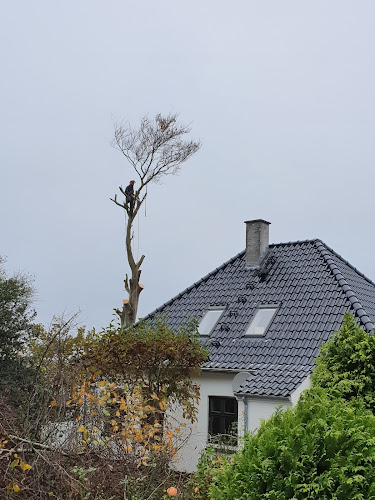 Kommentarer og anmeldelser af Silva Danica Træpleje