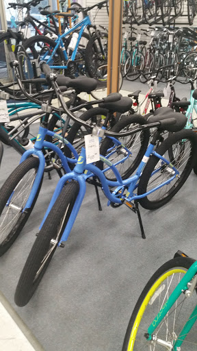 Bicycle Store «Lowcountry Bicycles», reviews and photos, 102 Sea Island Pkwy, Beaufort, SC 29907, USA