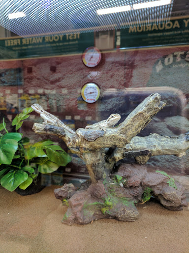 Pet Supply Store «Petco Animal Supplies», reviews and photos, 92 Cluff Crossing Rd, Salem, NH 03079, USA