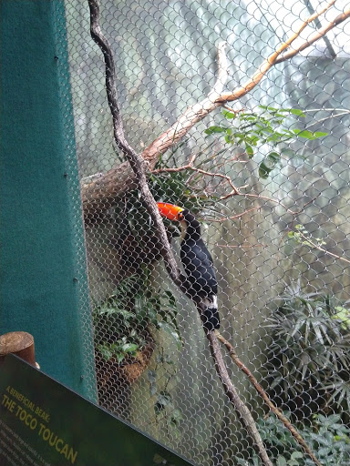 Zoo «Zoomazium», reviews and photos, 601 N 59th St, Seattle, WA 98103, USA