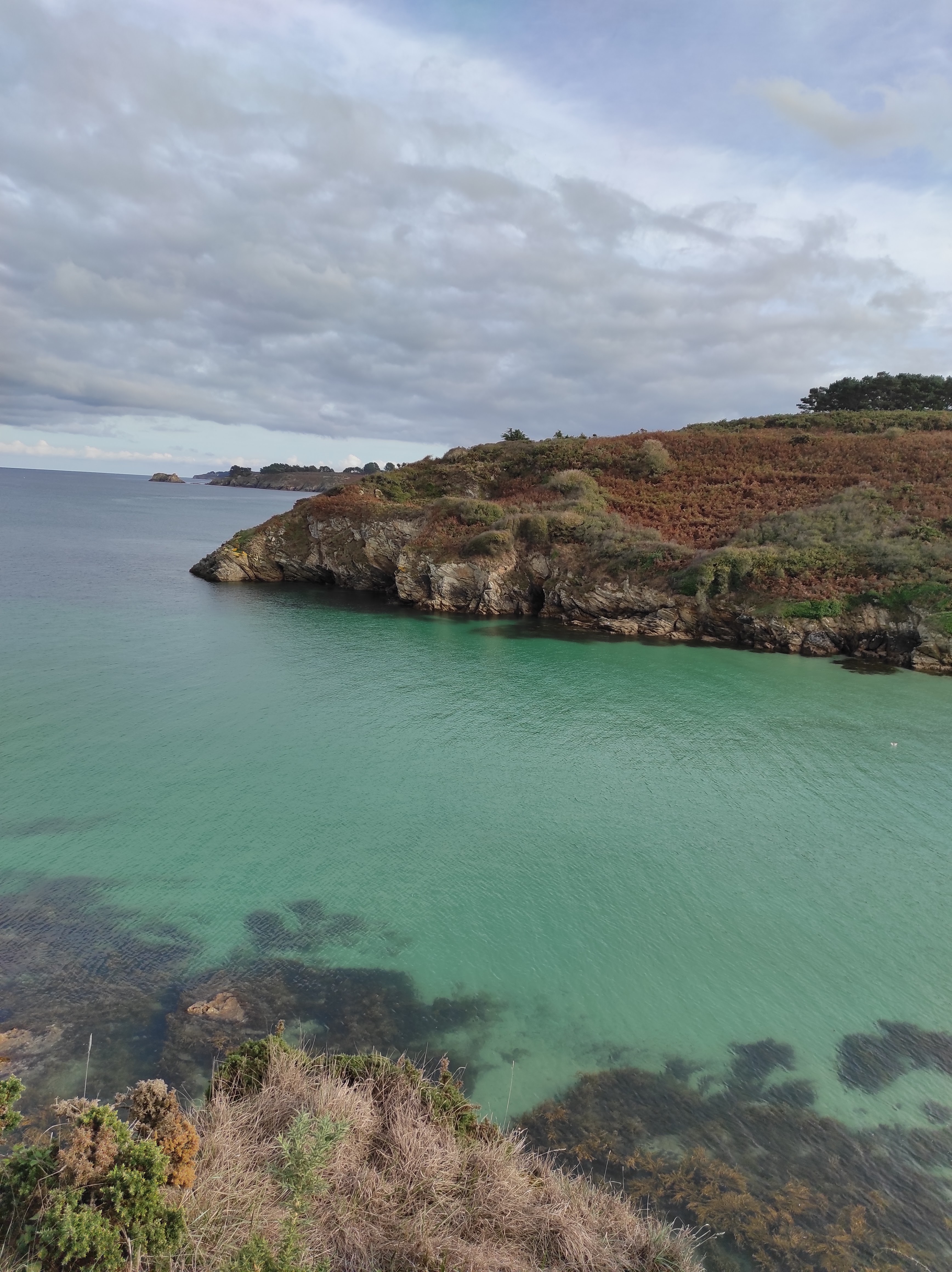 Photo n° 1 de l'avis de Alassea.a fait le 13/10/2022 à 18:16
