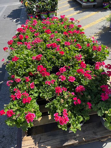 Home Improvement Store «The Home Depot», reviews and photos, 11360 Rojas Dr, El Paso, TX 79936, USA