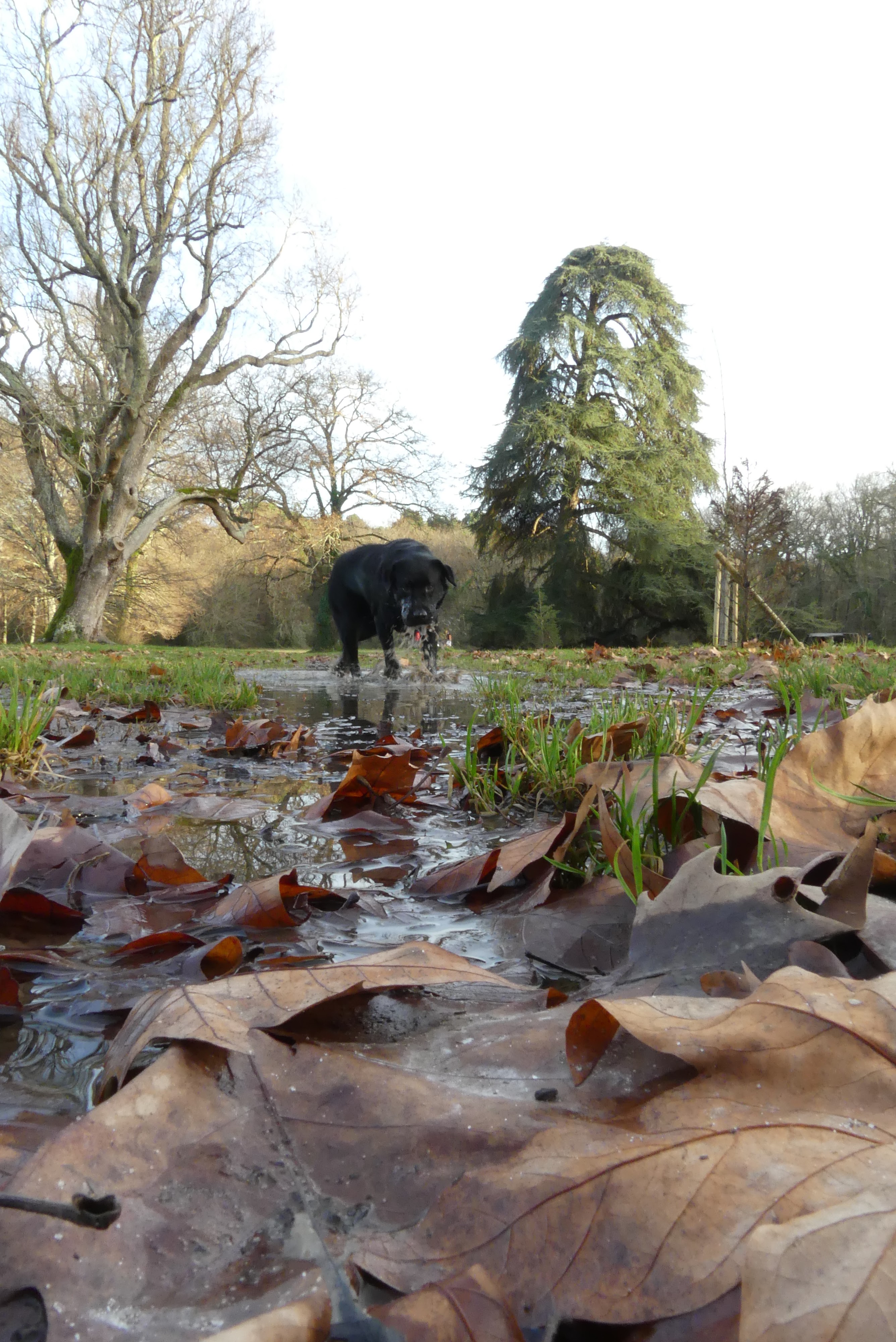 Photo n° 7 de l'avis de Faustin.o fait le 29/10/2020 à 09:41
