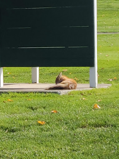 Golf Club «Lindenwood Golf Club», reviews and photos, 360 Galley Rd, Canonsburg, PA 15317, USA