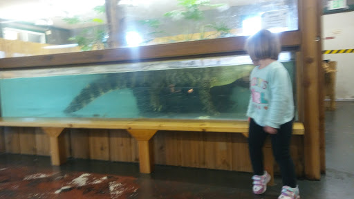 Zoo «Reptile Zoo», reviews and photos, 22715 US-2, Monroe, WA 98272, USA