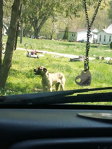 Miegs County Humane Officer