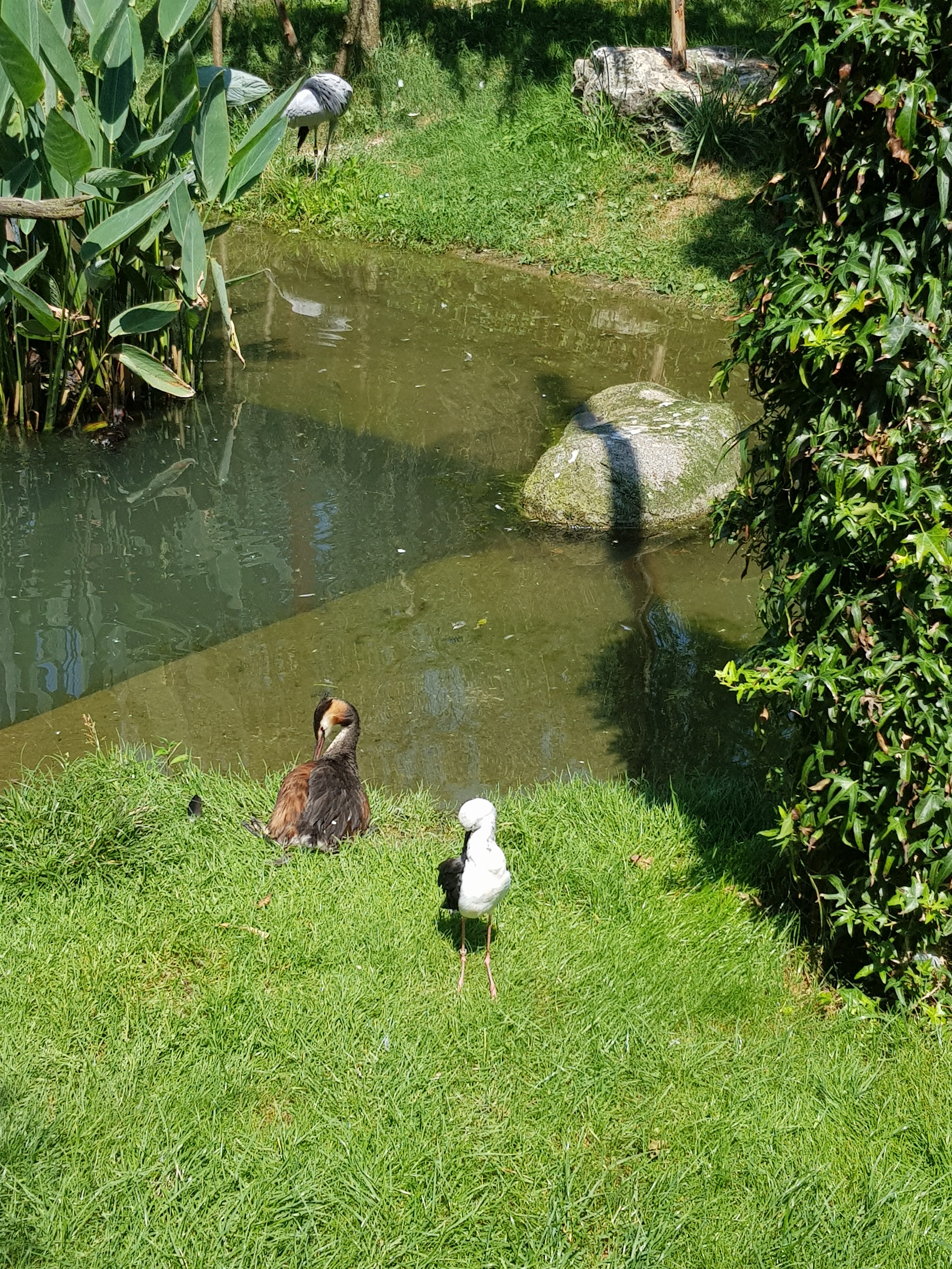 Photo n° 5 de l'avis de Tako.a fait le 27/08/2021 à 13:08