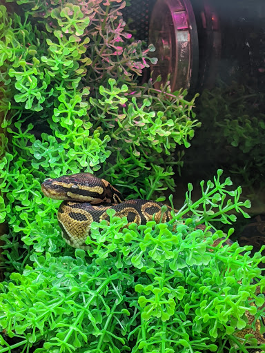 Pet Supply Store «PetSmart», reviews and photos, 700 Gallery Blvd b, Scarborough, ME 04074, USA