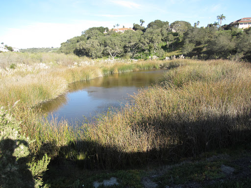 Park «Chumash Park», reviews and photos, Mankins Ranch Rd, Pismo Beach, CA 93449, USA