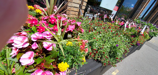 Grocery Store «Stop & Shop», reviews and photos, 420 White Plains Rd, Eastchester, NY 10709, USA